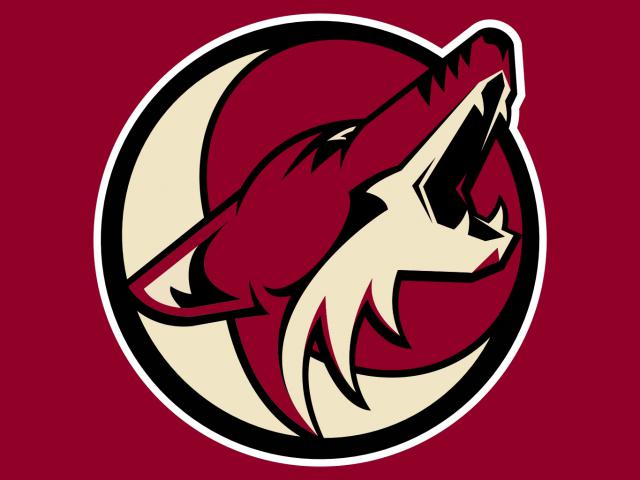 Photo hockey NHL : Phoenix sur le départ ? - NHL : National Hockey League - AHL