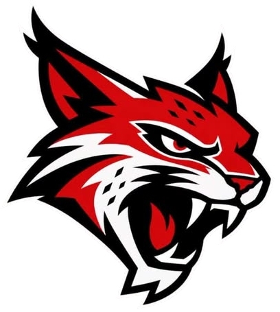 Photo hockey Nouveau LOGO pour Valence - Division 1 : Valence (Les Lynx)