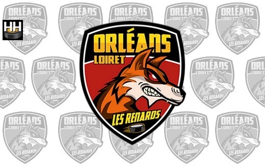 Photo hockey ORLEANS - Recrute pour 2025-2026 - Division 2 : Orléans (Les Renards)