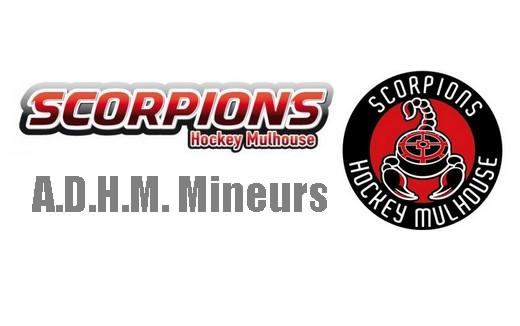 Photo hockey  Projet d