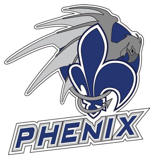 Photo hockey Reims recherche un attaquant U22 - Hockey Mineur : Reims* (Les Phénix)