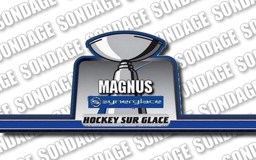 Photo hockey Résultats SONDAGE - ANGERS vs BORDEAUX - Ligue Magnus