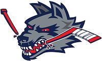 Photo hockey Saint Ouen recrute des filles - Hockey Féminin : Saint Ouen (Les Loups)