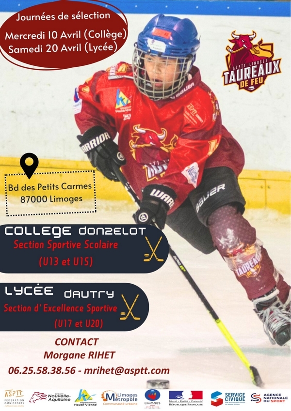 Photo hockey SECTIONS SPORTIVES à Limoges - Hockey Mineur : Limoges (Les Taureaux de Feu)