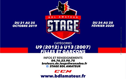 Photo hockey Stage U9 à U13 à Grenoble - Hockey Mineur : Grenoble  (Les Brûleurs de Loups)