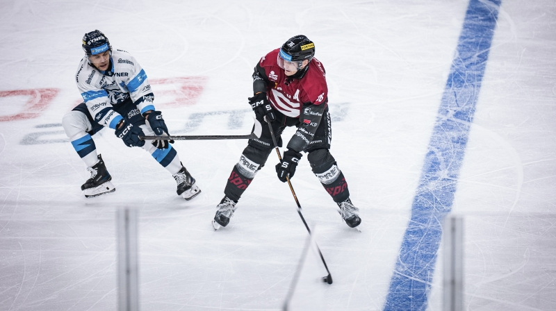 Photo hockey TELH : Puissant tigres blancs - TELH - Tipsport Extraliga Ledního Hokeje