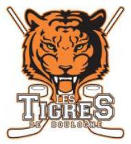 Photo hockey Tournois Mineur à Boulogne-Billancourt - Hockey Mineur : Boulogne Billancourt (Les Tigres)