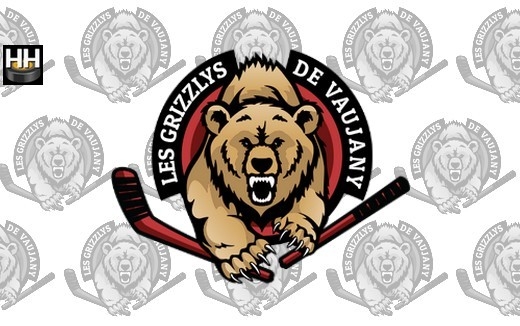 Photo hockey Vaujany - Programme de PREPARATION - Division 2 : Vaujany (Les Grizzlys)