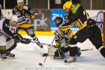 Photo hockey album [Carré Final D3] Strasbourg - Briançon