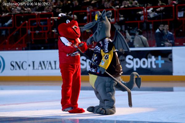Photo hockey album Bercy 2010 : Rouen vs Briançon - Photos : Stéphanie Ouvry