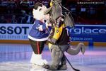 Photo hockey album Bercy 2010 : Rouen vs Briançon - Photos : Stéphanie Ouvry