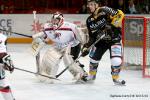 Photo hockey album Bercy 2010 : Rouen vs Briançon - Photos : Stéphanie Ouvry