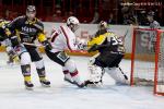 Photo hockey album Bercy 2010 : Rouen vs Briançon - Photos : Stéphanie Ouvry