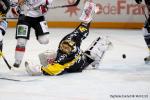 Photo hockey album Bercy 2010 : Rouen vs Briançon - Photos : Stéphanie Ouvry