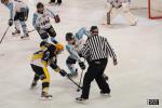 Photo hockey album D3 : Carré final - Limoges 2013