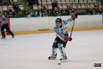 Photo hockey album D3 : Carré final - Limoges 2013