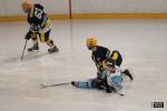 Photo hockey album D3 : Carré final - Limoges 2013
