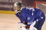 Photo hockey album EDF - France VS Slovénie (Lyon Charlemagne)