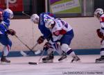 Photo hockey album EDF - France VS Slovénie (Valence)