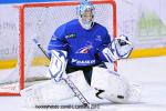 Photo hockey album EDF:france-suisse(à grenoble)