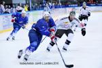 Photo hockey album EDF:france-suisse(à grenoble)
