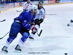 Photo hockey album EDF:france-suisse(à grenoble)