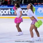 Photo hockey album EDF:france-suisse(à grenoble)