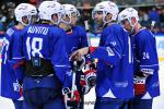 Photo hockey album EDF:france-suisse(à grenoble)