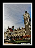 Photo hockey album Nouvelle-Zélande - Damien Torfou