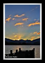 Photo hockey album Nouvelle-Zélande - Damien Torfou