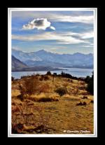 Photo hockey album Nouvelle-Zélande - Damien Torfou