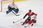 Photo hockey match Amiens  - Briançon  le 01/10/2024