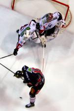 Photo hockey match Amiens  - Briançon  le 21/12/2011