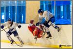 Photo hockey match Amnéville - Paris (FV) le 08/10/2016