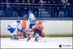 Photo hockey match Amnéville - Paris (FV) le 12/01/2019