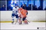 Photo hockey match Amnéville - Paris (FV) le 12/01/2019