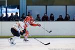 Photo hockey match Amnéville - Toulouse-Blagnac le 15/09/2012