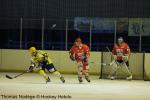 Photo hockey match Amnéville - Viry-Châtillon le 29/01/2011