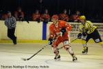 Photo hockey match Amnéville - Viry-Châtillon le 29/01/2011