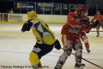 Photo hockey match Amnéville - Viry-Châtillon le 29/01/2011
