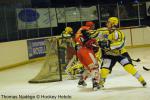 Photo hockey match Amnéville - Viry-Châtillon le 29/01/2011