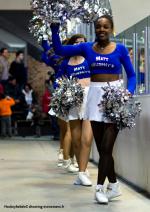 Photo hockey match Angers  - Briançon  le 28/03/2014