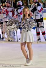 Photo hockey match Angers  - Briançon  le 29/03/2014