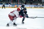 Photo hockey match Angers  - Briançon  le 29/09/2024