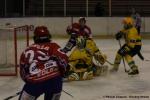 Photo hockey match Asnières - Viry-Châtillon le 13/03/2010