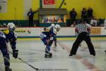 Photo hockey match Avignon - Amnéville le 14/03/2009