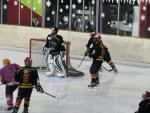 Photo hockey match Besançon - Aubagne le 27/11/2010