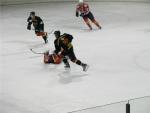 Photo hockey match Besançon - Belfort  le 27/03/2010