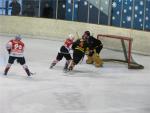 Photo hockey match Besançon - Belfort  le 27/03/2010