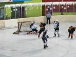 Photo hockey match Besançon - Briançon II le 05/02/2011